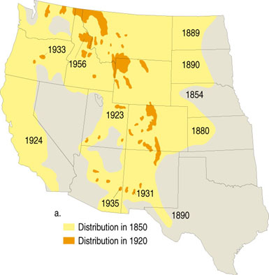 grizzly bear map bears range episode northwest pacific grand former states united conservation tips inhabits mere today 1920