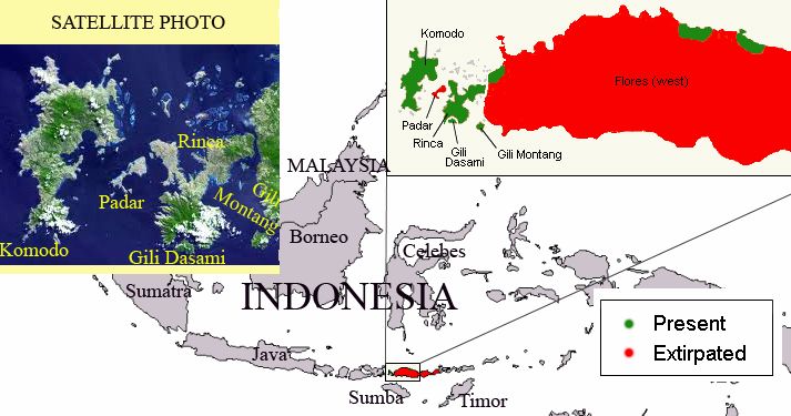 komodo dragon habitat map